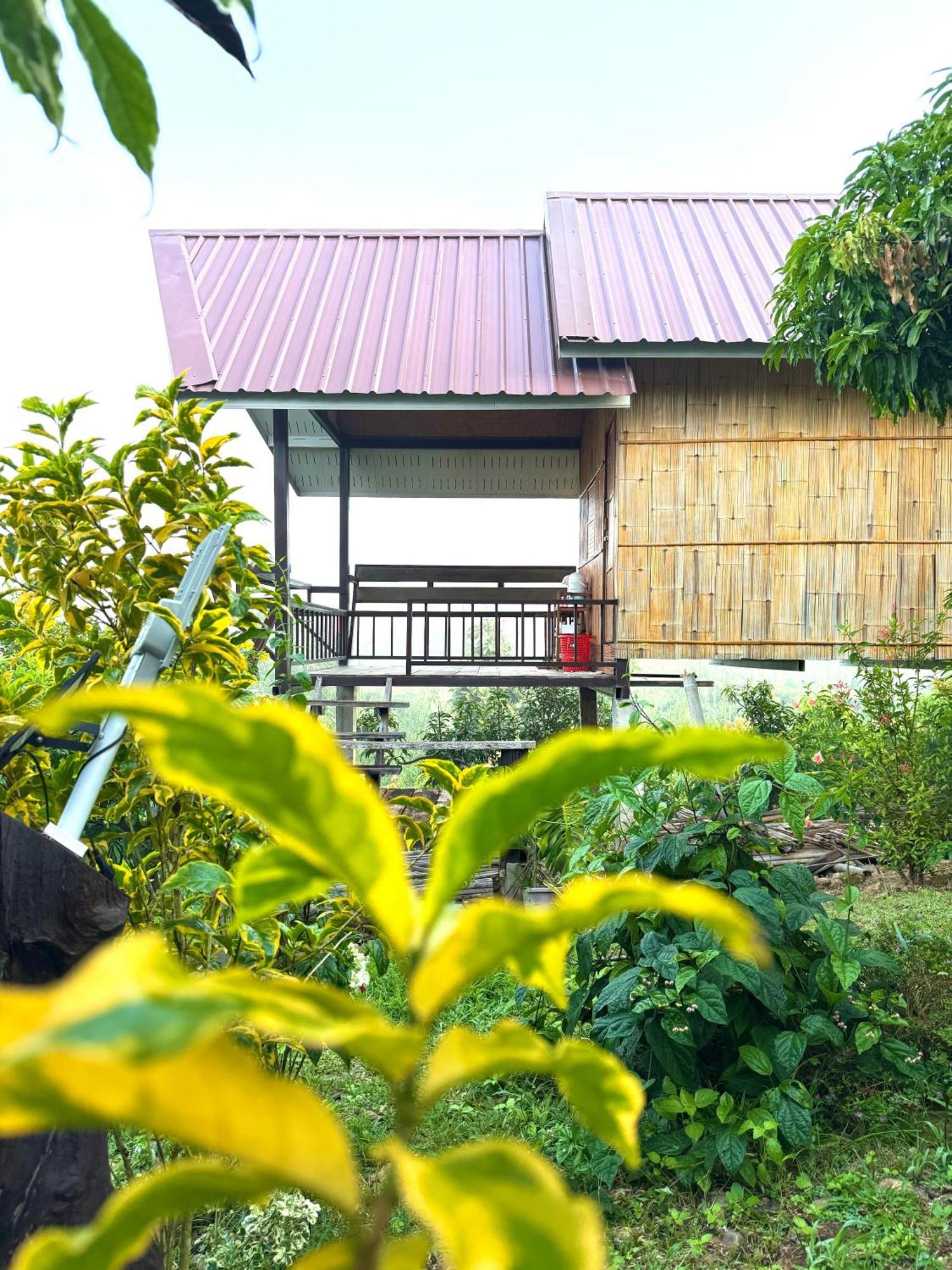 Doicherngngam Home Stay 치앙다오 외부 사진