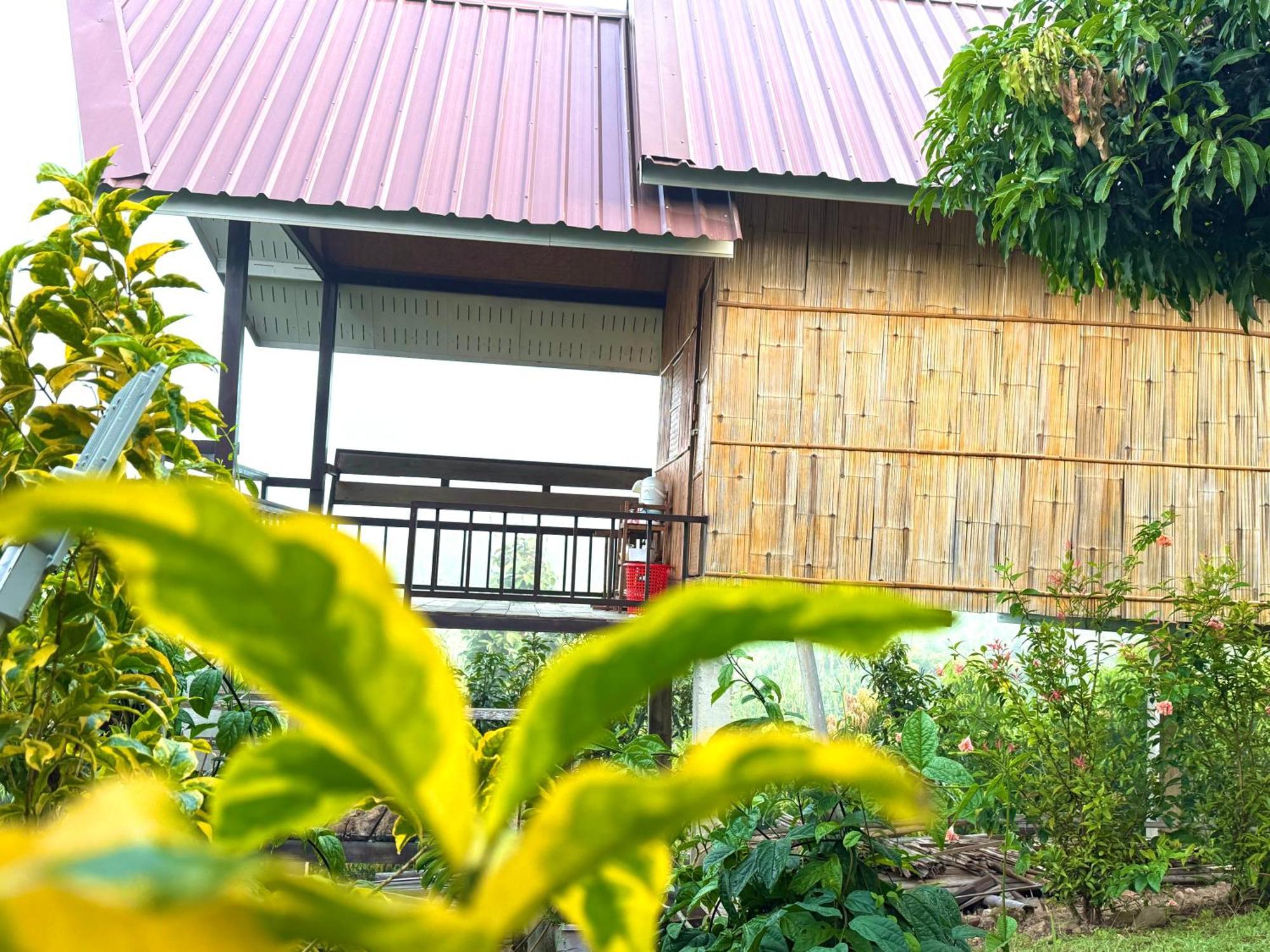 Doicherngngam Home Stay 치앙다오 외부 사진